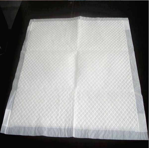 Economical Disposable Waterproof Housebreaking Dog Pet Training Pads